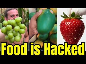 Your Gut Bacteria Is Being Destroyed—And Here's Why Big Food Won't Tell You