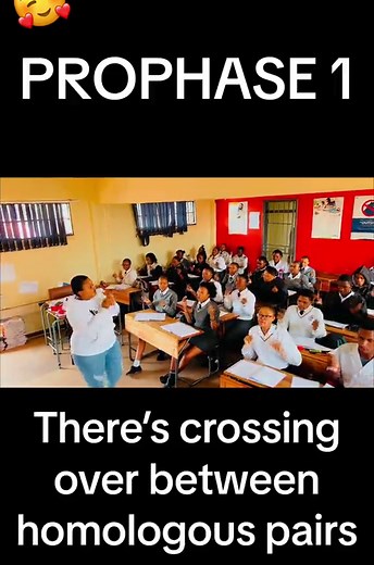 Grade 12 Meiosis 1: Mam Radebe's Life Sciences Lesson