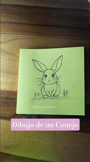 Como Dibujar un Conejo Paso a Paso 🐇✨
