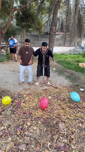 Explore the Magic of Tech: Balli Bot Mogis