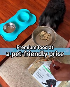 Chat with our veterinarian-trained Certified Nutrition Consultants in one of our Kitchens or Pantries, on the phone or online. We’re here to answer your questions and be partners in your pet’s health. | Just Food For Dogs