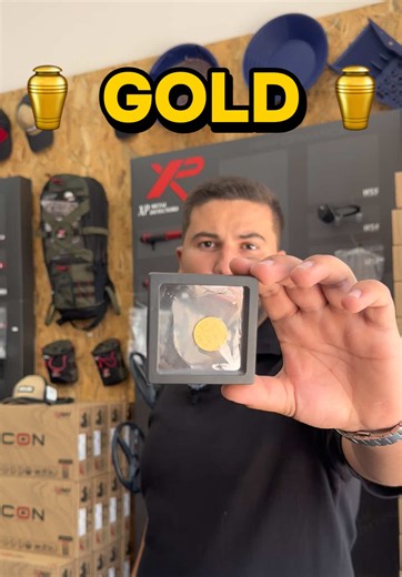 XP Icon   WSAST Metal Detector Package — Price & Finds (€599)