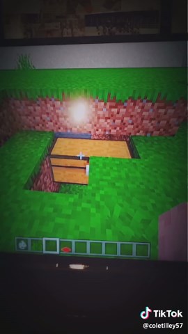 Ultimate Guide to Building a Turtle Shell Farm in Minecraft