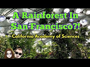A Rainforest in San Francisco?! | California Academy of Sciences