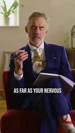 1.1M views · 29K reactions | How to Get Rid of Haunting Memories | Dr Jordan B Peterson | Facebook