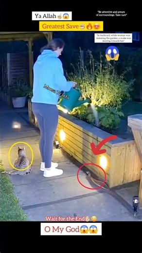 MashAllah ☝🏻😇 Greatest Save 😍 #shorts #status #short