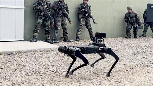 Republic of Korea Army Soldiers from the 25th Infantry Division and U.S. Army Soldiers from the 5-20 Infantry Battalion, 1-2 Stryker Brigade Combat Team, 7th Infantry Division conduct a joint breach operation at Twin Bridges Training Area, Yangju-si, Republic of Korea, Mar. 12, 2025. Freedom Shield 25 is a multi-domain military training program that integrates ground, air, naval, space and cyberspace elements, enhancing readiness through realistic combat situations. (U.S. Army photo by Staff Sgt