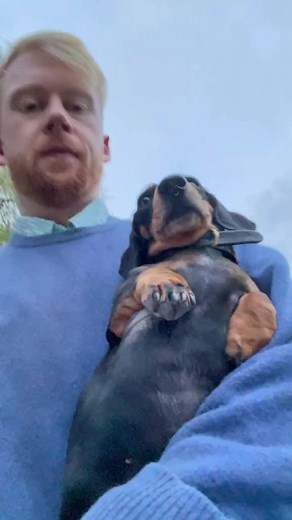Pizza The Queen Dachshund: A Royal Treat for Your Pup!
