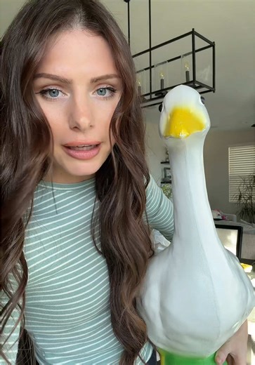 Help me name my porch goose!! #tiktokshopcreatorpicks @Spreetail | porch goose