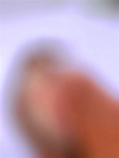 Hedgehog Life on TikTok