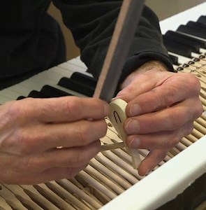 The Steinway family gifted a custom-made grand piano to the White House in 1938. | Business Insider Today