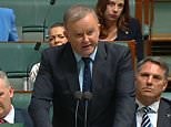 Labor leader slams PM Scott Morrison for 'forcing handshake'