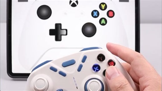 达尔优H100轻量化无线手柄类Xbox布局 Steam原神双人成行双影奇境怪物猎人荒野switch电脑明末渊虚之羽 气透黑（三模RGB）接收器 超轻伞绳数据线