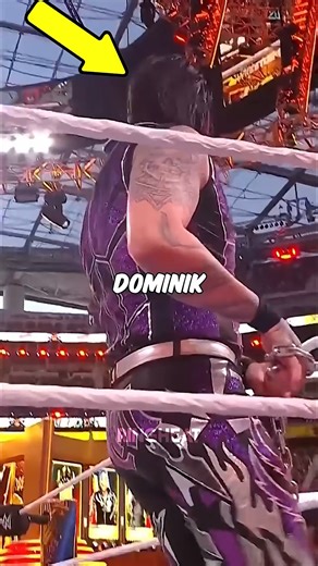 bad bunny hit dominik | Ring Heat