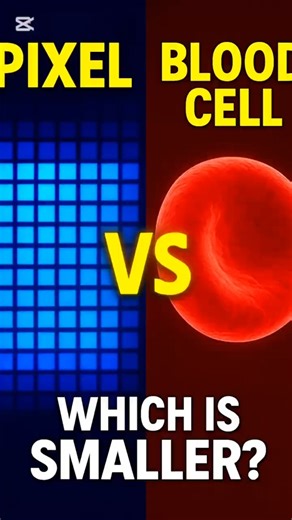 Pixels Are Smaller Than Your Blood Cells 😱 #Shorts