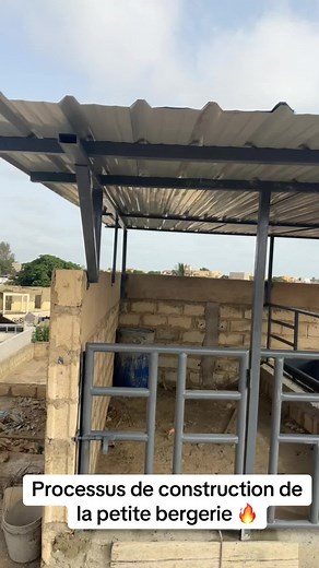 La Bergerie Mamour voit le jour, portée par la passion et l'enthousiasme d'une jeunesse dévouée à l'élevage d'excellence. Ce projet incarne notre engagement à promouvoir des pratiques respectueuses et innovantes, garantissant le bien-être de nos Ladoums majestueux. Avec des infrastructures modernes et un environnement propice à leur épanouissement, la Bergerie Mamour se positionne comme un modèle de tradition et de perfection, dédié à la production de Ladoums d'élite. Rejoignez-nous dans cette a