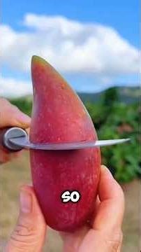 Top 5 Mango Varieties You’ve Probably Never Seen 🥭😲