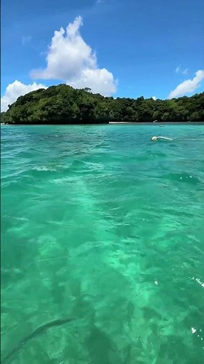 川平湾の海、色がすごい｜石垣島グラスボート #shorts