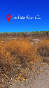 #SanPedro #Arizona #birdwatching #sanpedroriver | Johnny & Gale Rowlett