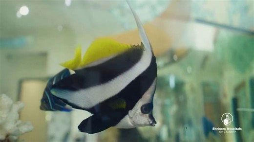Shriners Hospitals for Children TV Spot, 'Hawaii Is Full of Secret Places'