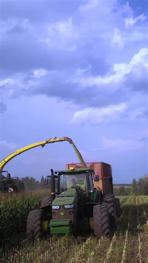 John Deere Corn Harvester Expert Efficiency 🌽🚜 #jdsilage #jdsunharvest #choppingcorn #cornharvester #farmmachinery | Nikabelly