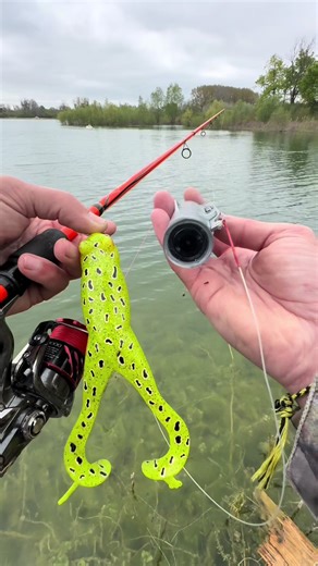 Quand je pêche, de cette manière, j’ai des frissons qui me parcourt le dos . #fishing #partage #passion