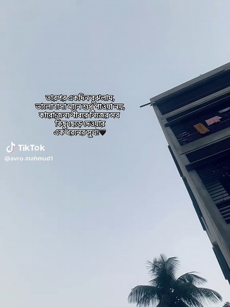 তারপর একদিন বুঝলাম, ভালোবাসা মানে শুধু পাওয়া নয়, কারো,জন্য নীবরে নিজের সব কিছু ছেড়ে দেওয়ার এক ধরনের সুখ!🖤#fyppppppppppppppppppppppp #myviralvideo #trendingvideo #status #caption