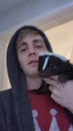 Animal Snack Time: Skunk Wants a Delicious Treat