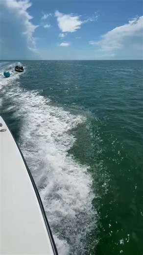 So long 2025 — you were so good to us! So many guests welcomed, properties cared for, and homes turned into the backdrop of unforgettable vacations. None of it happens without our hardworking team behind the scenes keeping everything seamless. 2026 is calling — new opportunities, new properties, and so much to look forward to ☀️ We’re grateful, we’re ready, and we can’t wait to share what’s next! 🥂 #VacationHomes #FloridaKeysRentals #PropertyManagement #flkeysvacationrentals flkeyslife | Team S