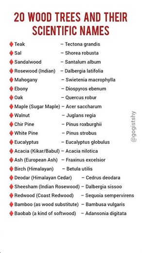 Famous Wood trees with their Scientific Names #plants #sciencefacts #factsshorts
