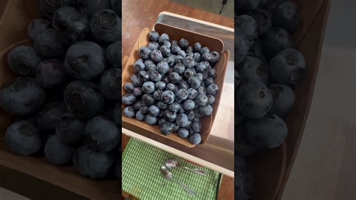 Make homemade blueberry ice cream creamy and full of flavor