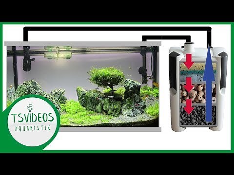 Wie funktioniert ein Aquarium Filter? - Funktionsweise