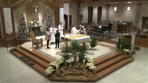 Join us for our live stream! | The Immaculate