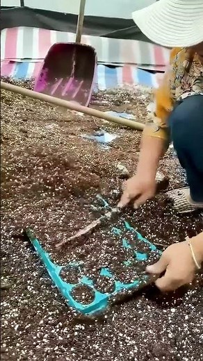 Make Cool Shapes with an Ice Cube Tray! So Satisfying!