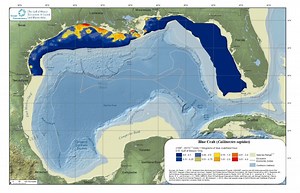 The Gulf of Mexico Ecosystem: There’s a Map for That