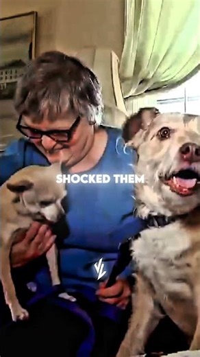 He tested dogs during a break-in… the results are shocking 😨🐶