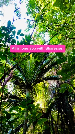 Sharesies KiwiSaver Scheme? Sorted. Investments? Sorted. Savings and...