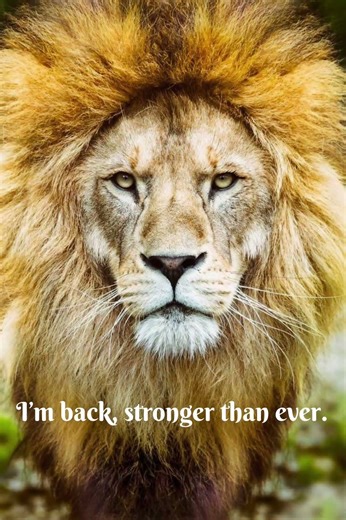 I’m Back 🔥 | Powerful Motivational Lines | Rise Stronger Than Ever