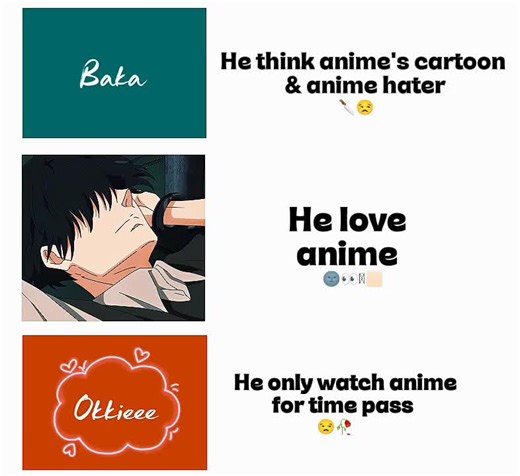 Understanding the Anime Edit Views Problem