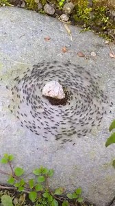 Mosh pit🤘 | Heavy Metal Hard Rock