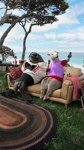 Take up to $500 off your winter energy bills when you join Contact...