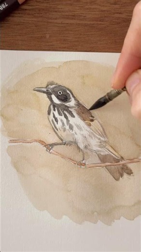 drawing watercolour bird process bookmark creation raisa kross