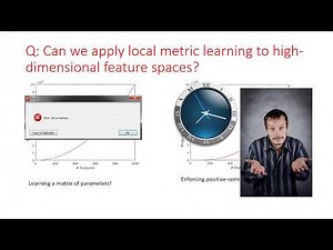 Sparse Compositional Local Metric Learning