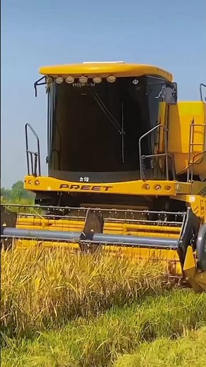 FA9LA SONG The 10 Most Viral Songs About Cars