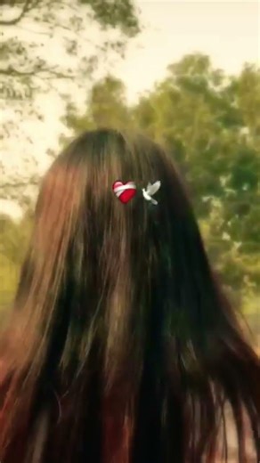 mera manjer kya h... #ytshorts #poetrystatus #shortvideo