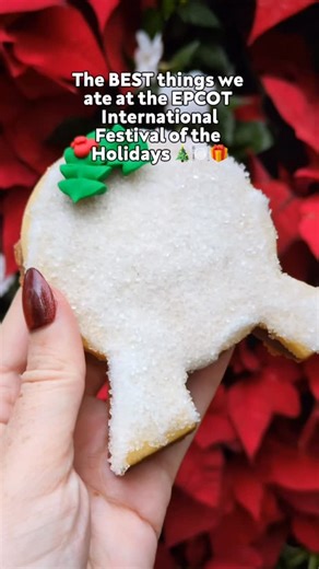 Disney Food Blog on Instagram: "✨🎄 BEST OF THE FEST — EPCOT FESTIVAL OF THE HOLIDAYS 🌍✨ Festival of the Holidays is HERE, and we’ve officially eaten our way around the world (in the name of research, of course 😌). Here are the BEST OF THE FEST picks you cannot miss this season: 🇫🇷 Le Marché de Noël (France) – That gingerbread macaron is absolutely perfection. �🇲🇽 Las Posadas (Mexico) – A returning fave with bold, cozy flavors you’ll want again and again. �🍎 Apple Crumble Cookie – Warm, f