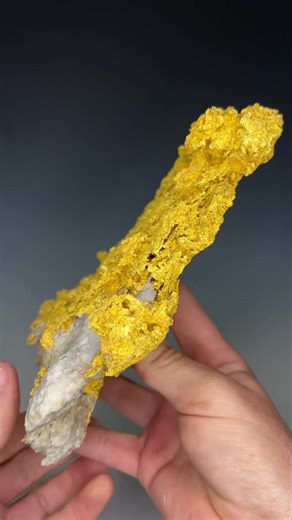 Gold & Quartz Lokel Mine, Humboldt County, Nevada 21 x 16 x 4.5 cm Sold | Miner's Lunchbox