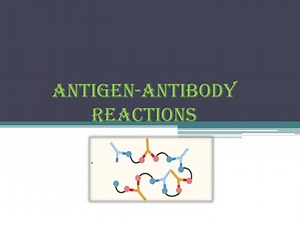 Antigen-antibody reactions - SlideServe