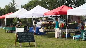 Rhode Island’s Health Equity Zone initiative is an innovative, place-based approach that brings people together to build healthy, resilient communities across our state. Health Equity Zones are about collaborating to create healthy places for people to live, learn, work, and play. Learn more! | Rhode Island Department of Health
