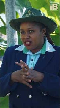 How to Start Small Scale Poultry Farming on a Small Farm